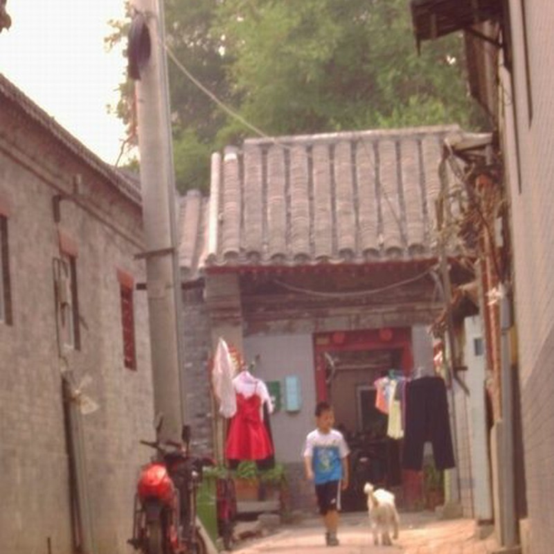 中国北京旅行‐古民家の少年と犬