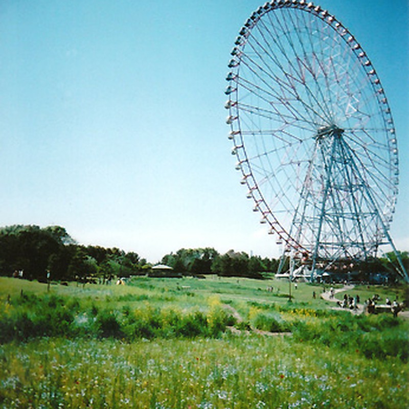 小花とホイール