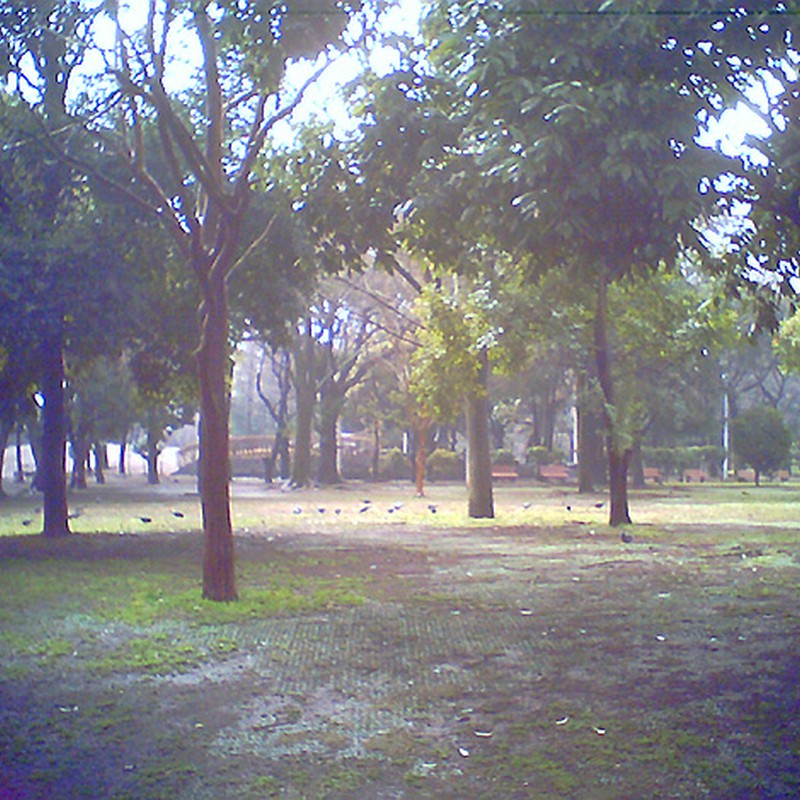 雨上がりの公園