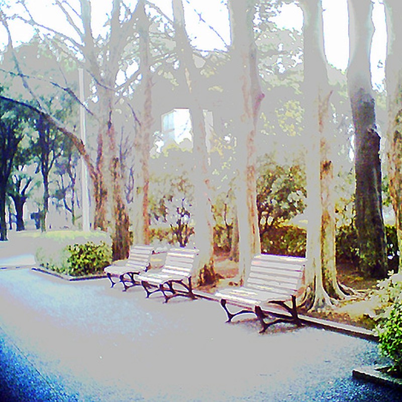 雨上がりベンチ