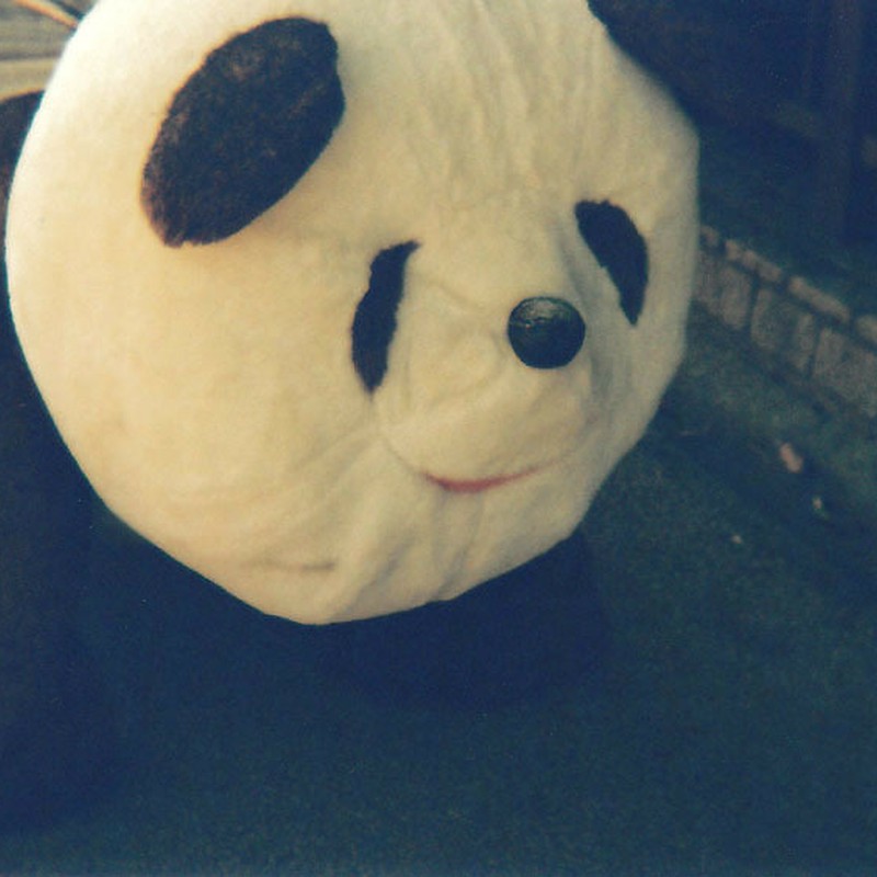 哀愁パンダ