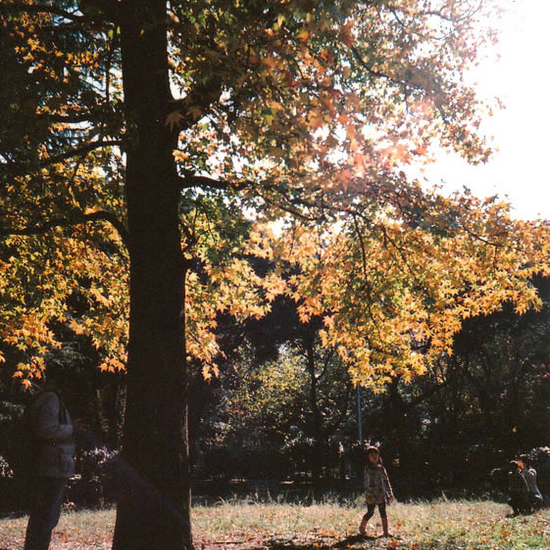 ちびっこモデルちゃん