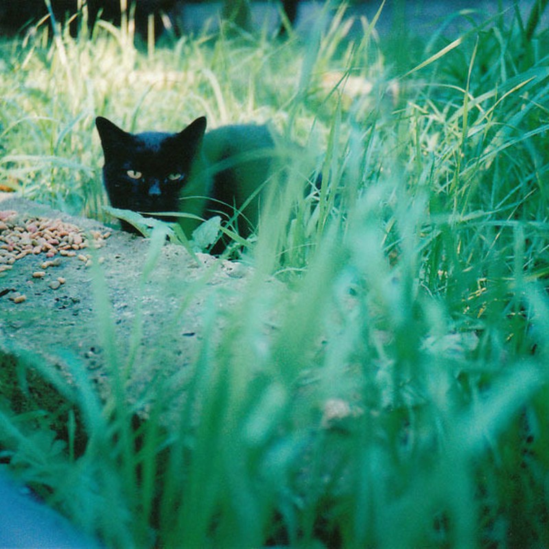 カリカリ独り占め!!