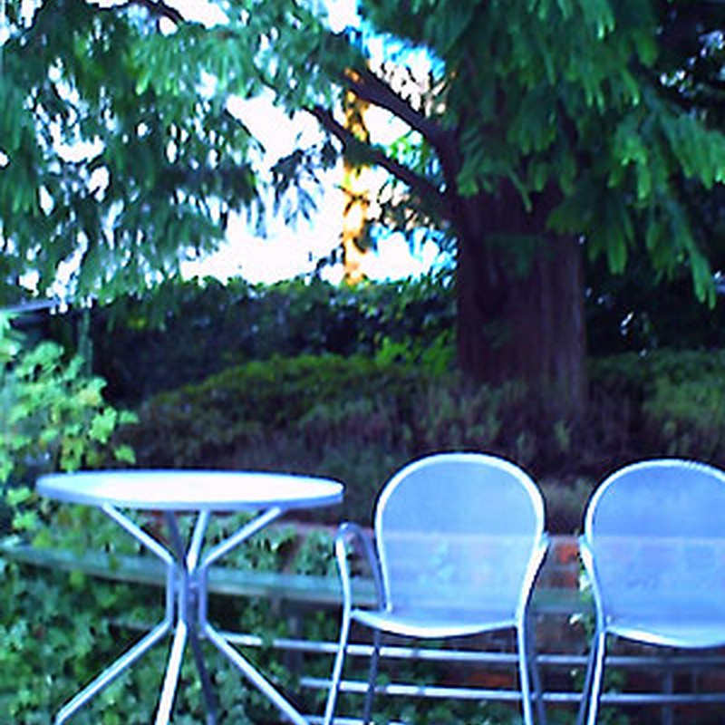 夏の木陰のテラス席