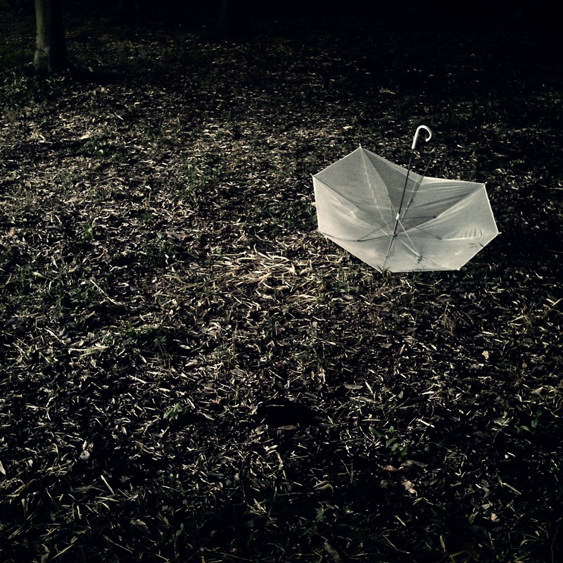 森の中の忘れ物