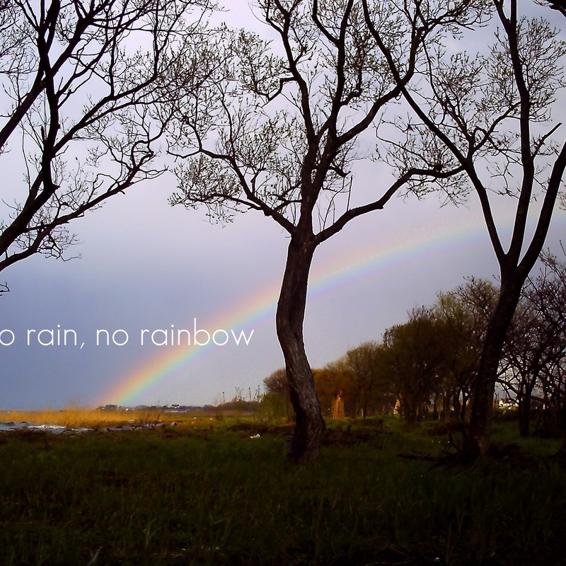 no rain, no rainbow