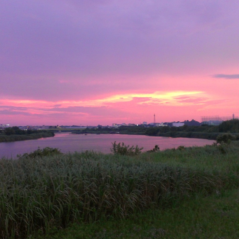 川辺の夕景