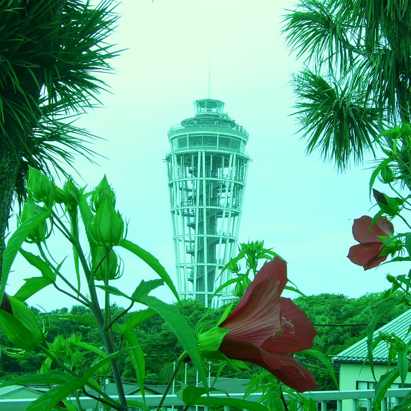江ノ島タワー、夏。