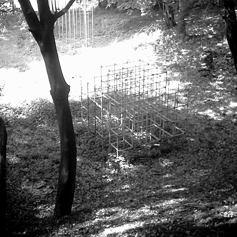 ジャングルジム