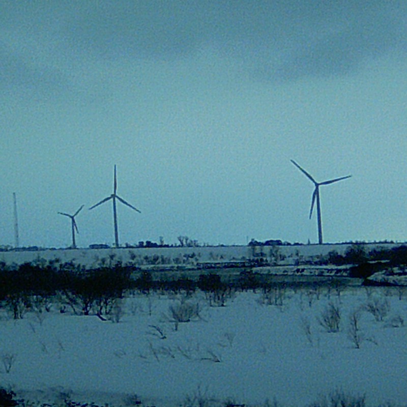 雪原と風車