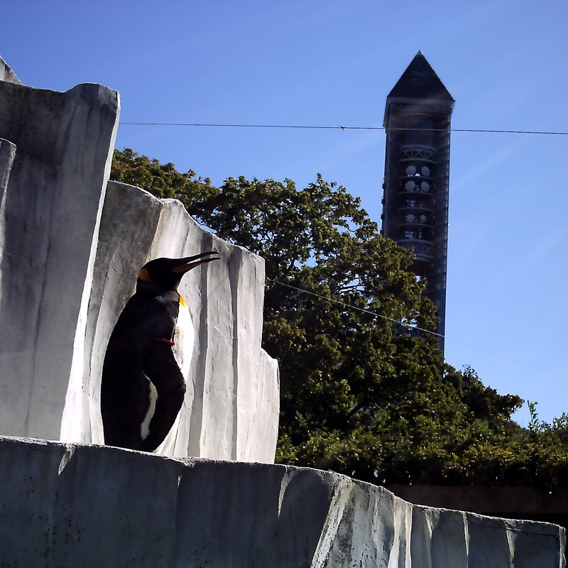 ペンギンと鉛筆塔。