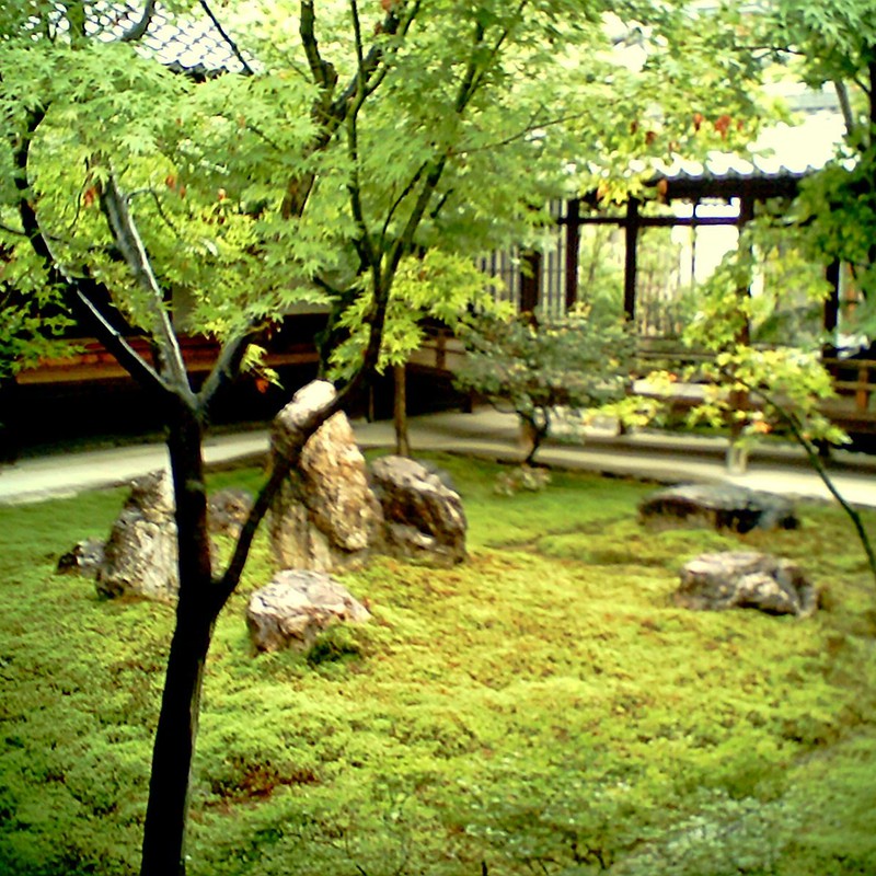 建仁寺の庭
