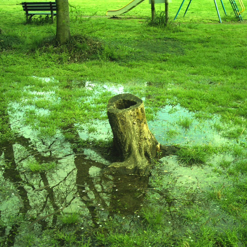 a stump
