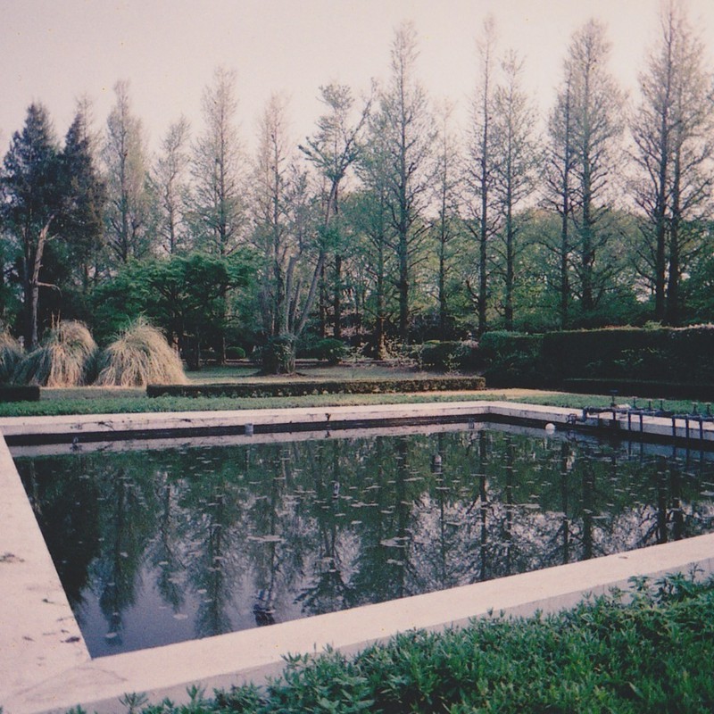 プールのある庭