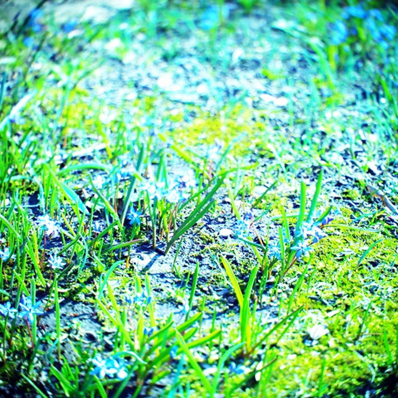 陽のあたるところ