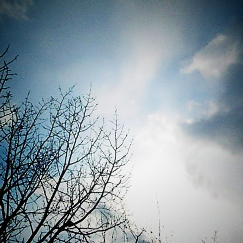 晴れてたのに・・・