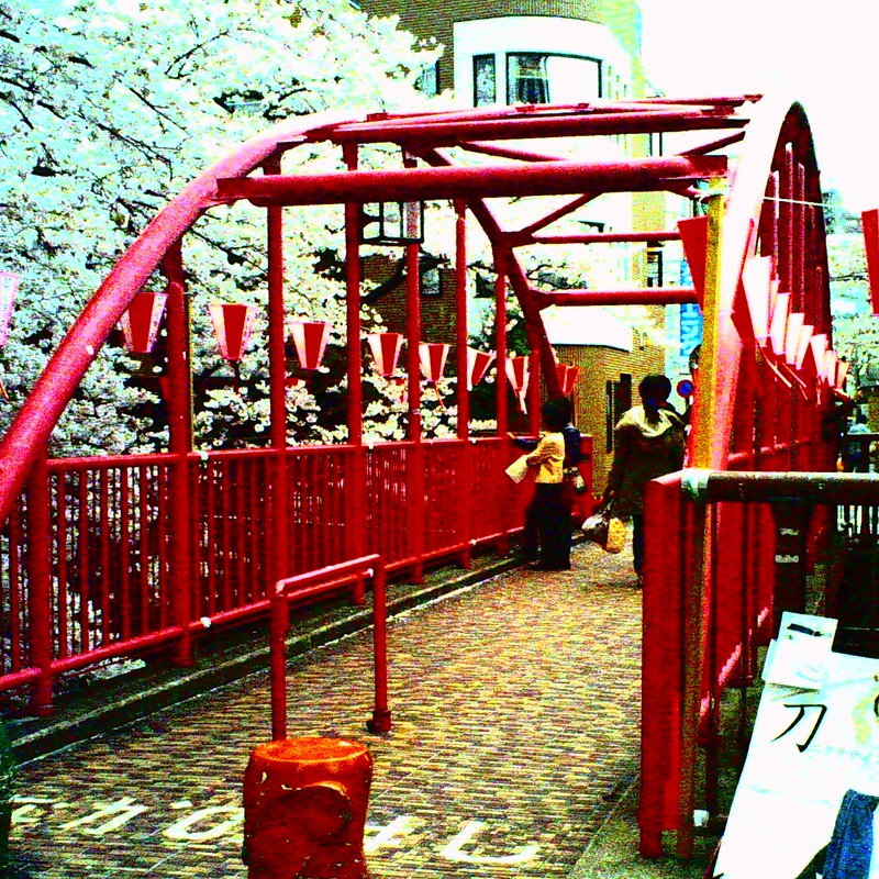２０１１年、桜＠目黒川と中の橋
