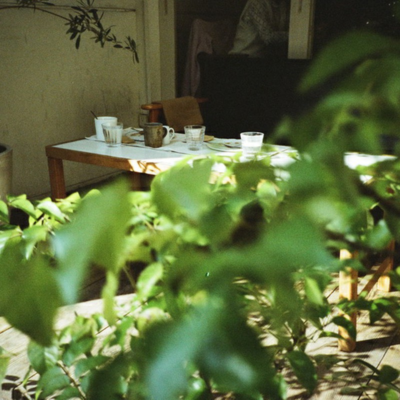 Cafeの庭