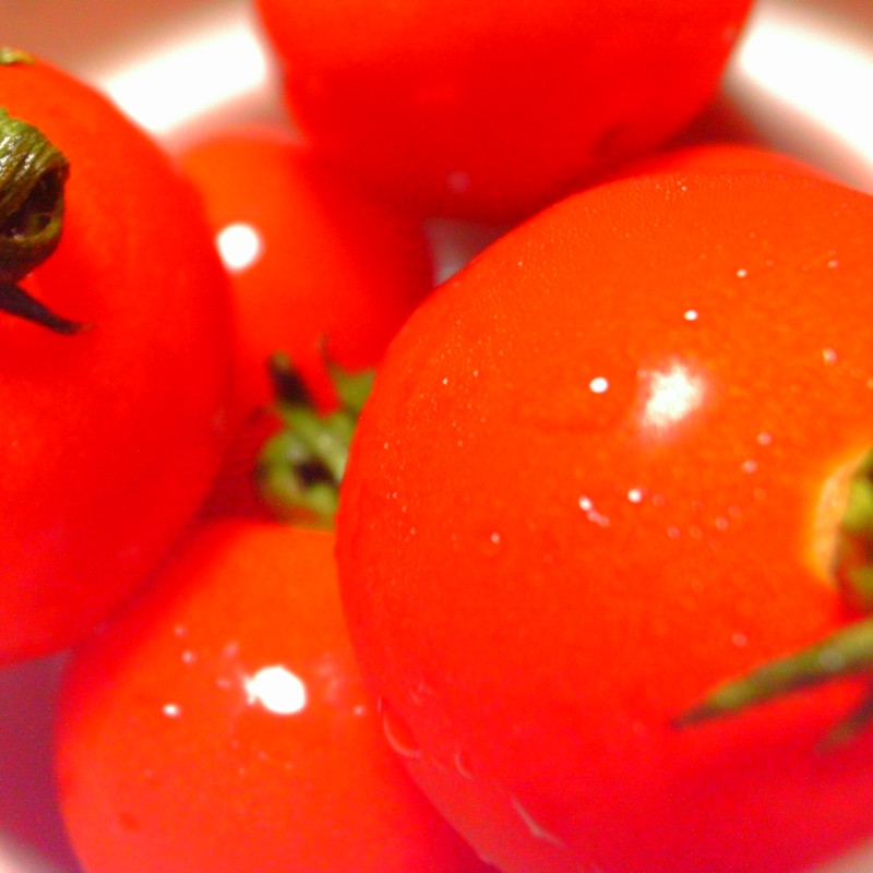 暑がりトマト