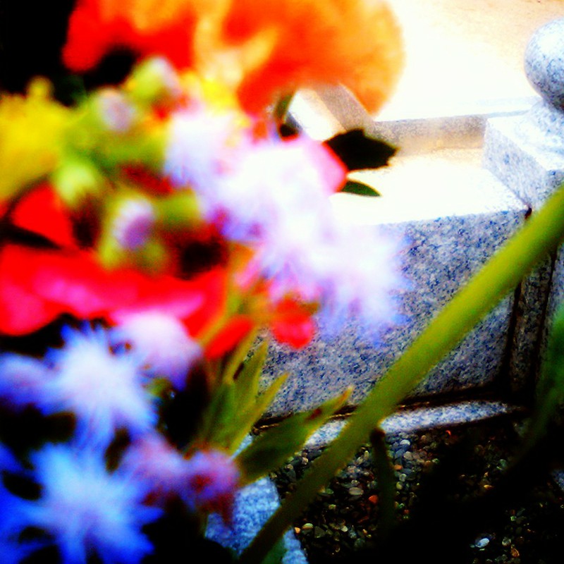石と花