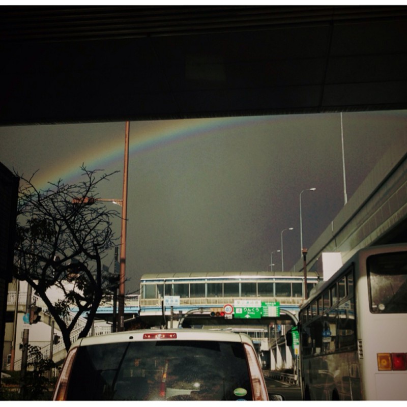 今日の虹。