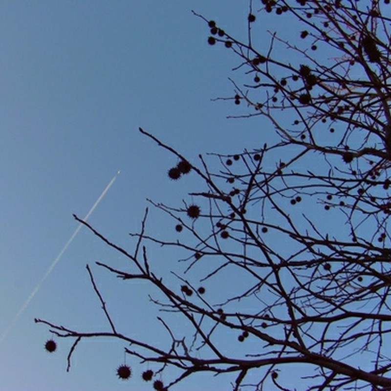 冬空と飛行機雲
