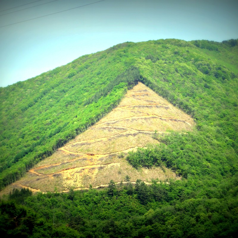 ZIG-ZAG山