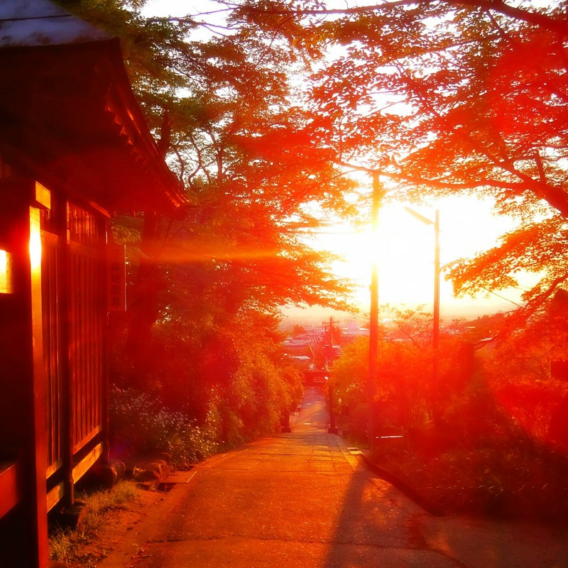 夕陽のあたる坂道