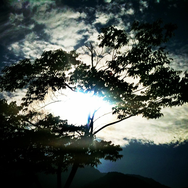 空と太陽と雲と木のセット