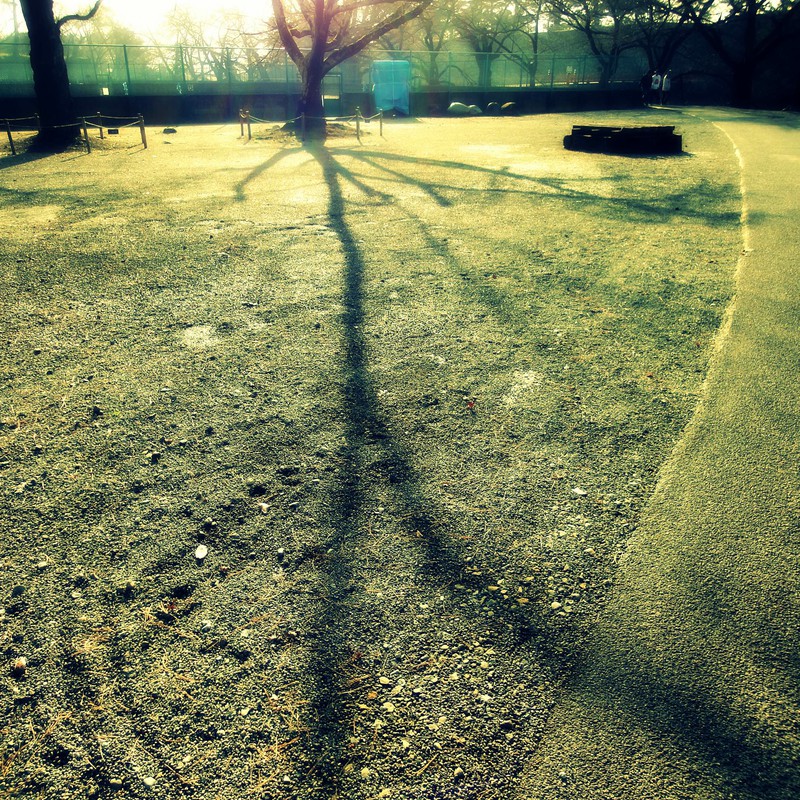 冬の影
