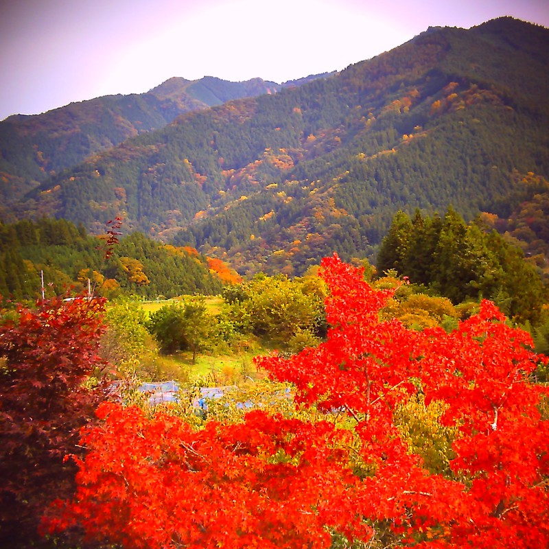 山と紅葉