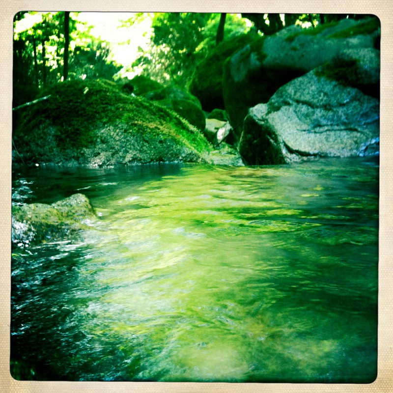 緑と水