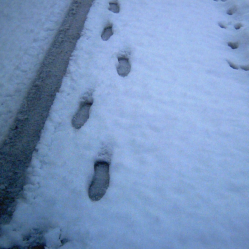冬の足跡