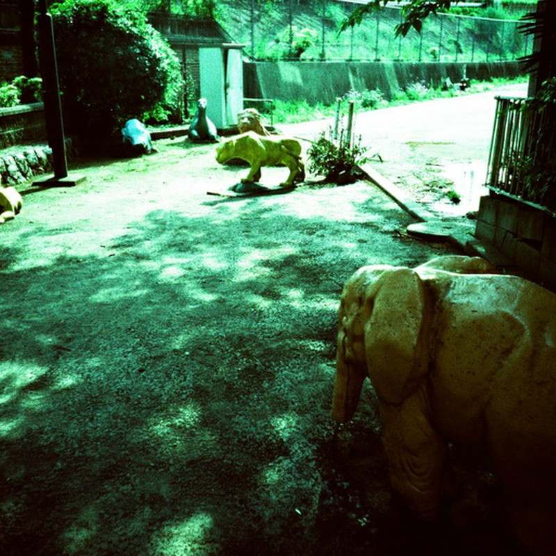 ゾウの・・・その後