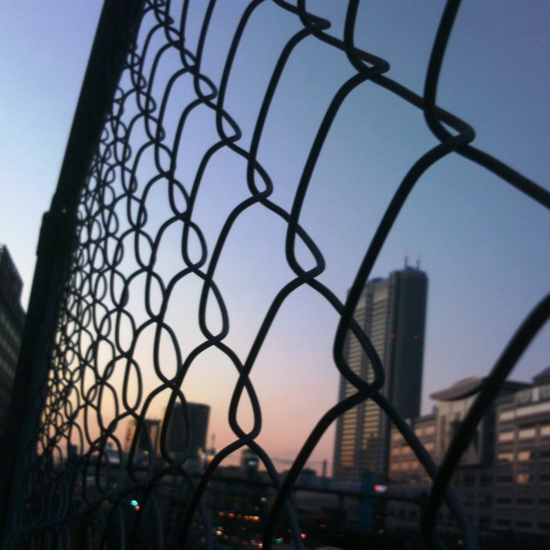 フェンス越しに