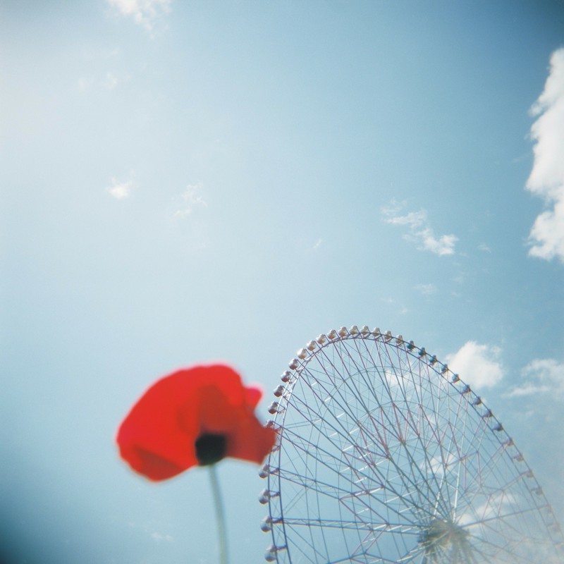 ある晴れた日に