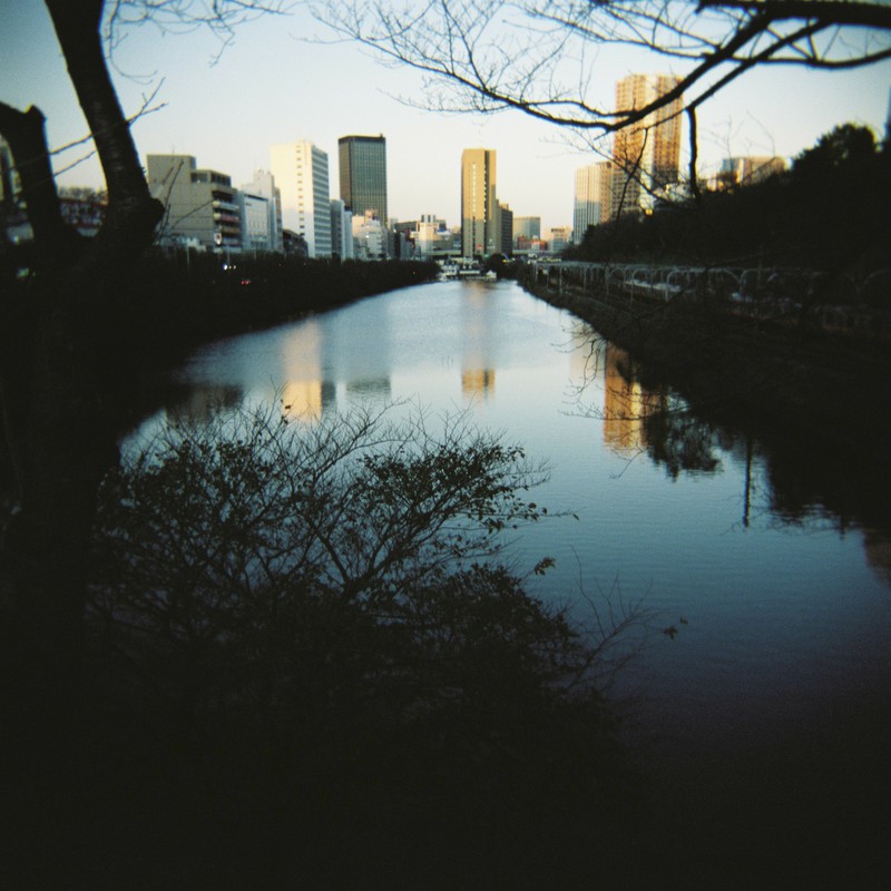 お散歩コースで1枚