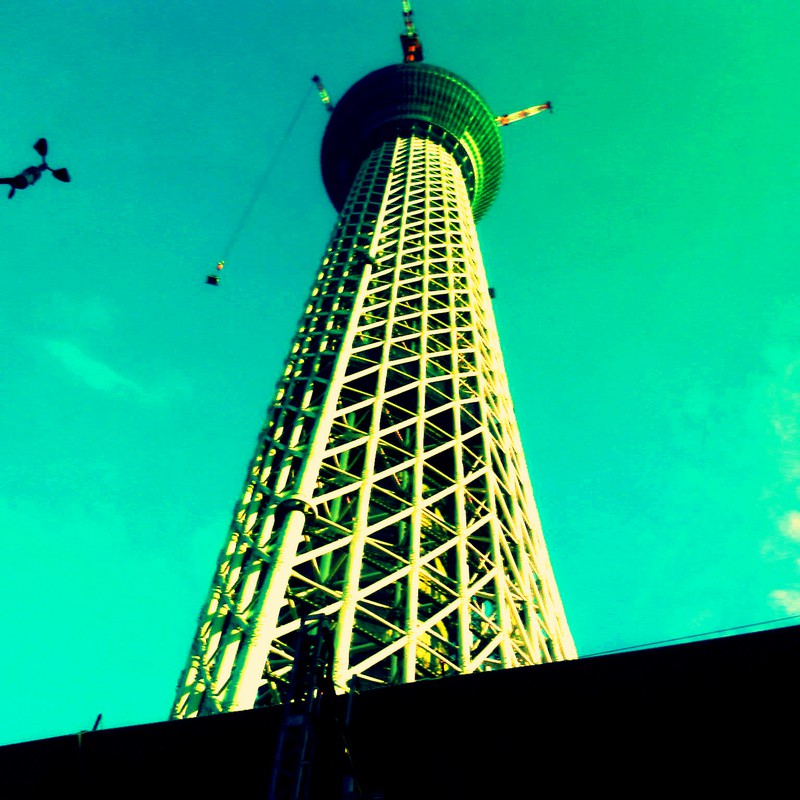 日本一を目指して