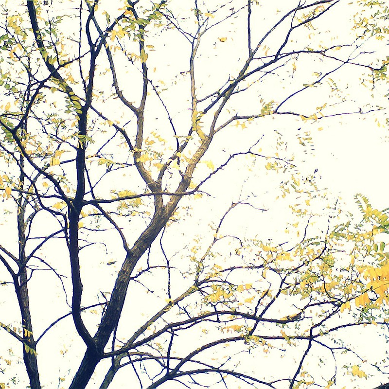 秋も終わりですね