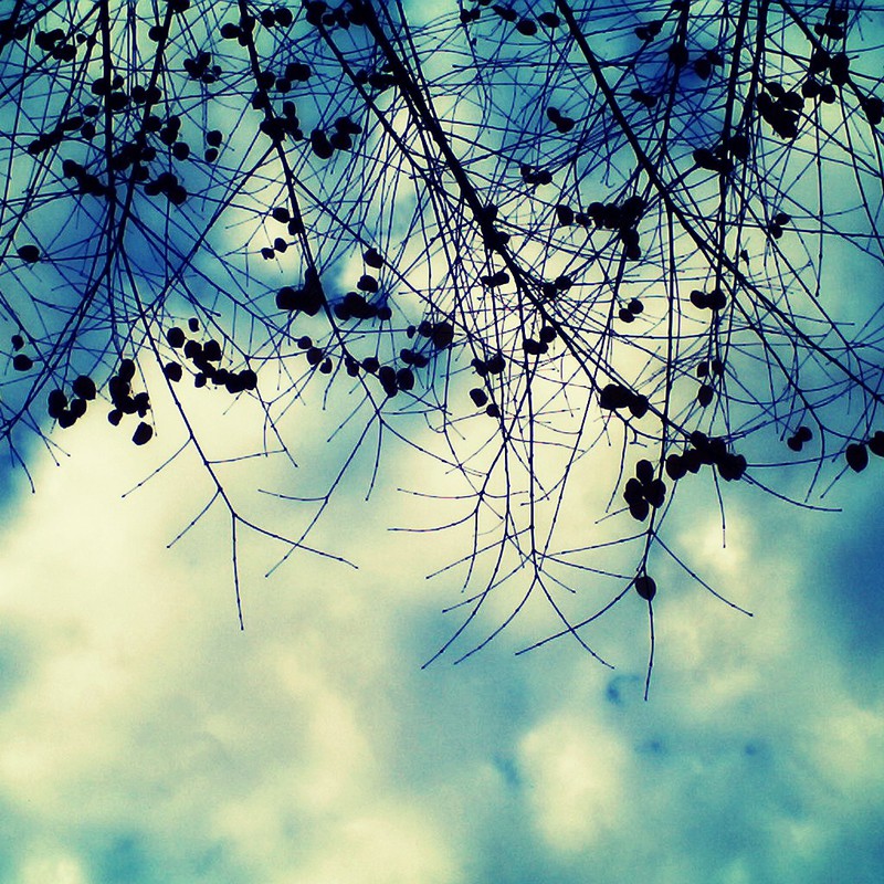 冬始めました 2