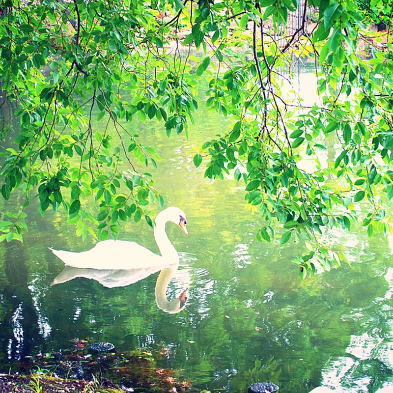 穏やかな時の中で