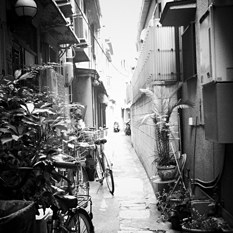 昼下がりの探検心