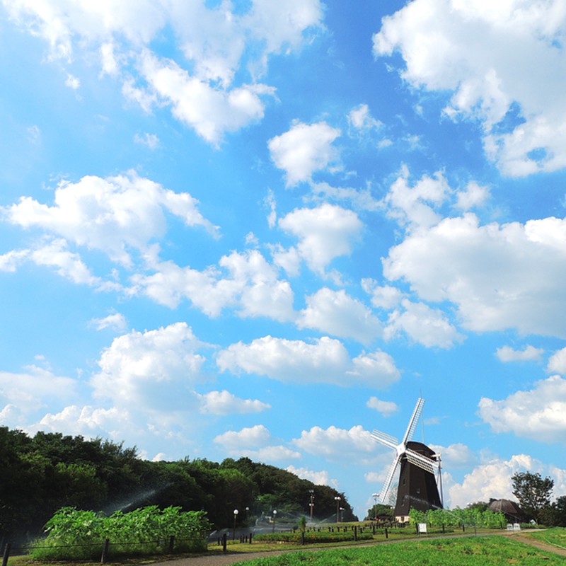 高く、どこまでも。