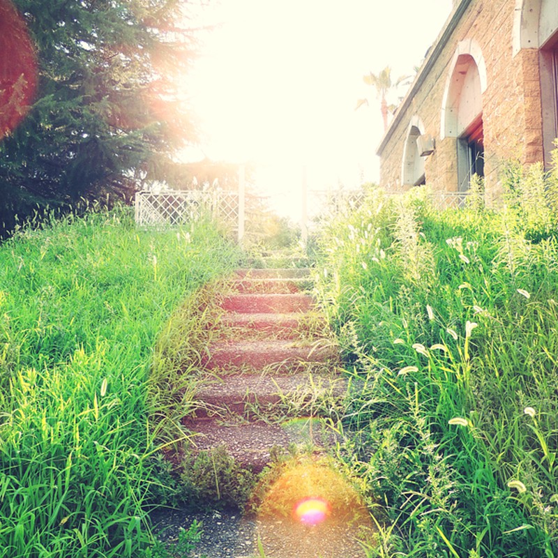 夏の日の夕暮れ