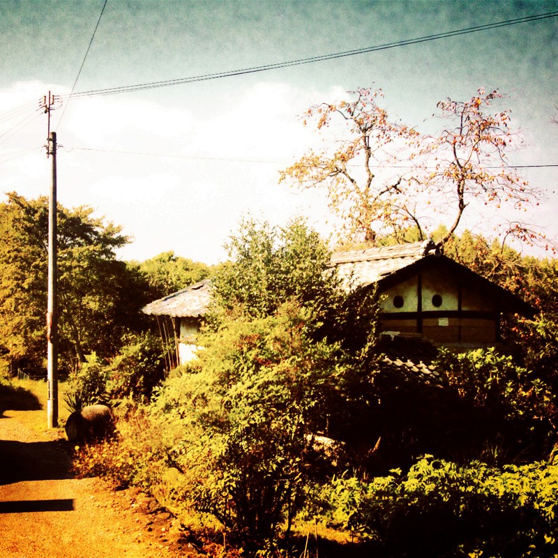 柿の木と日本の家