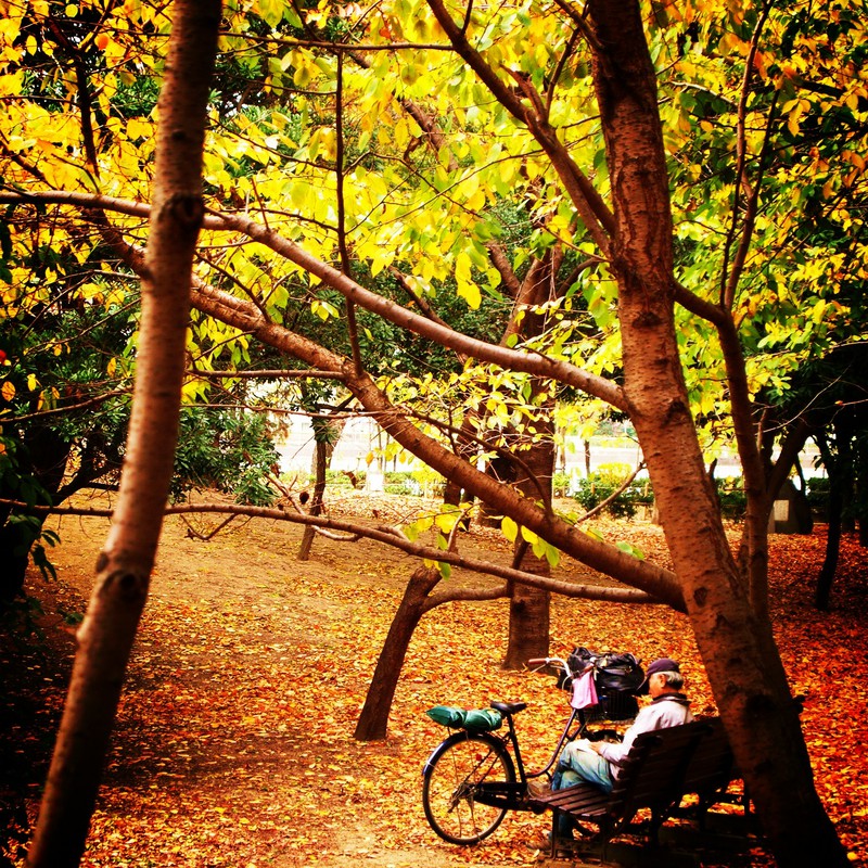 休日のひととき