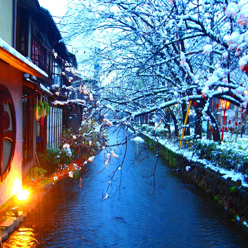 京の冬