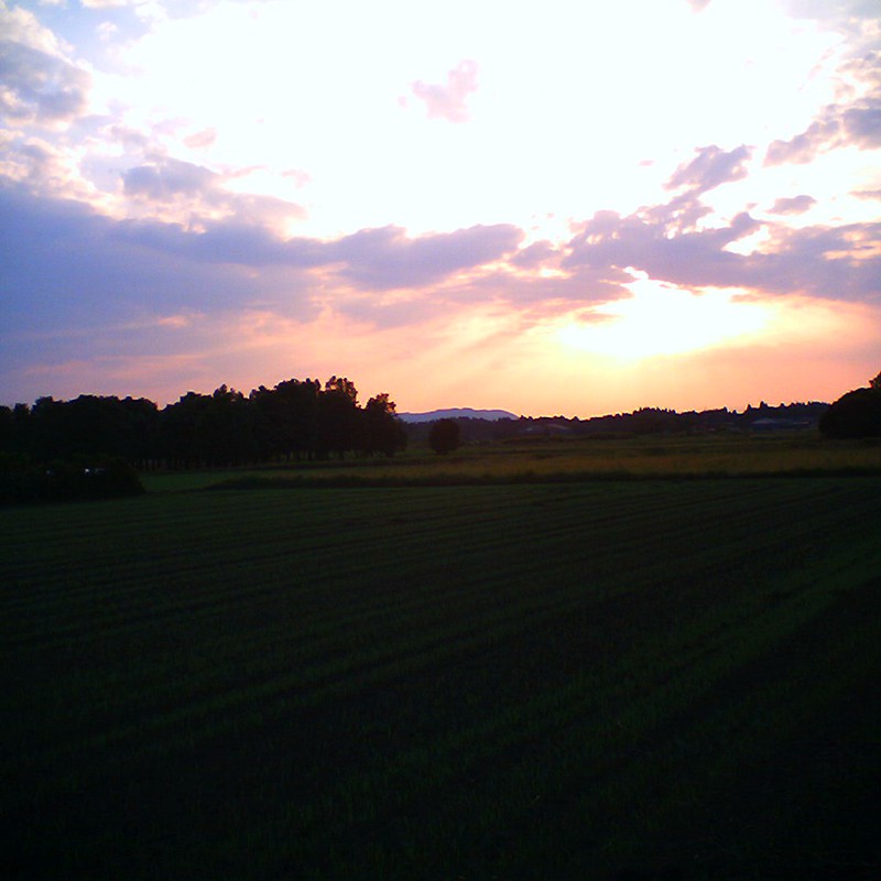 夕日と畑