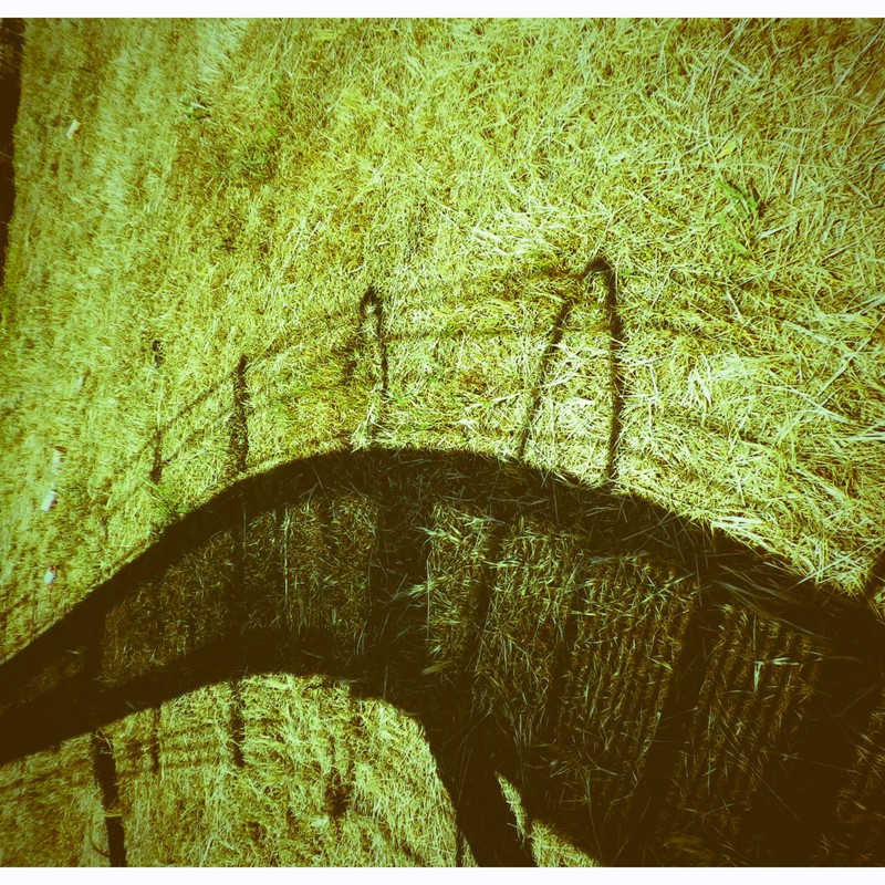 公園での足元には