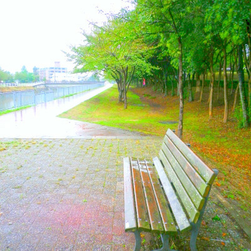 雨のベンチ